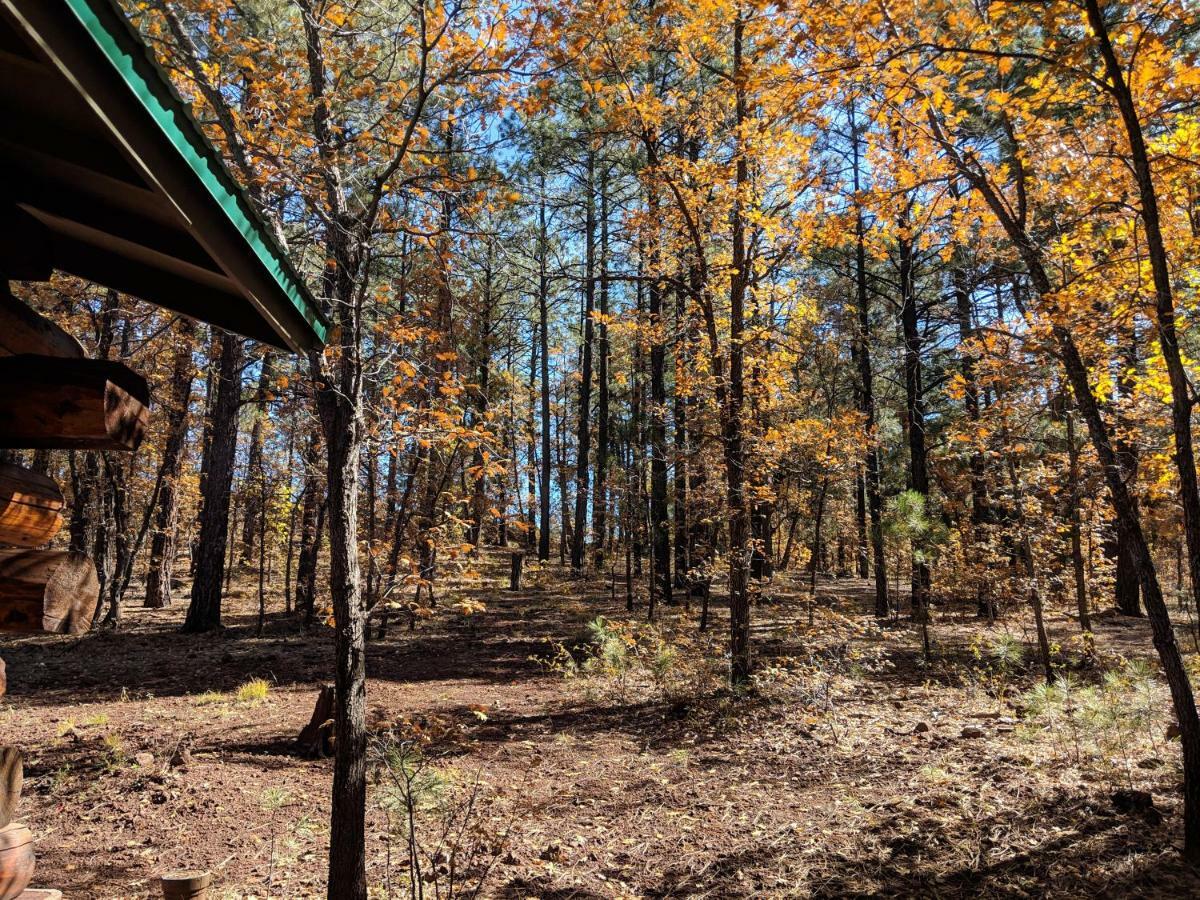 Cozy Cub Log Cabin - Year Round Tranquil Beauty Villa Pinetop-Lakeside Eksteriør bilde