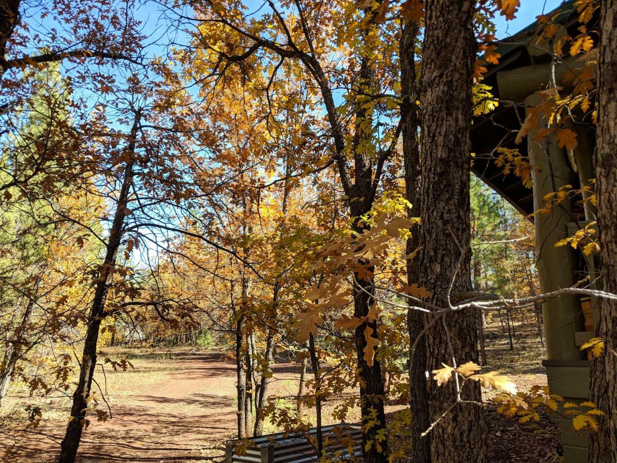Cozy Cub Log Cabin - Year Round Tranquil Beauty Pinetop-Lakeside Eksteriør bilde