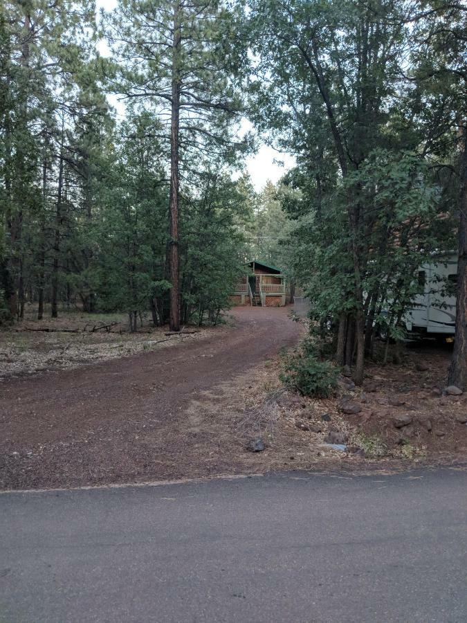Cozy Cub Log Cabin - Year Round Tranquil Beauty Pinetop-Lakeside Eksteriør bilde